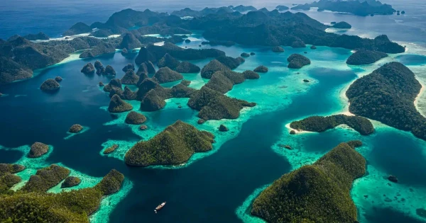 Изображение к статье: Раджа Ампат: Затерянный рай с уникальными обитателями на 1500 островах