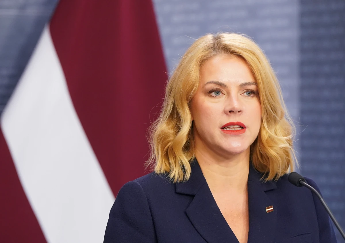 Изображение к статье: Известно, сколько в прошлом году заработала Силиня