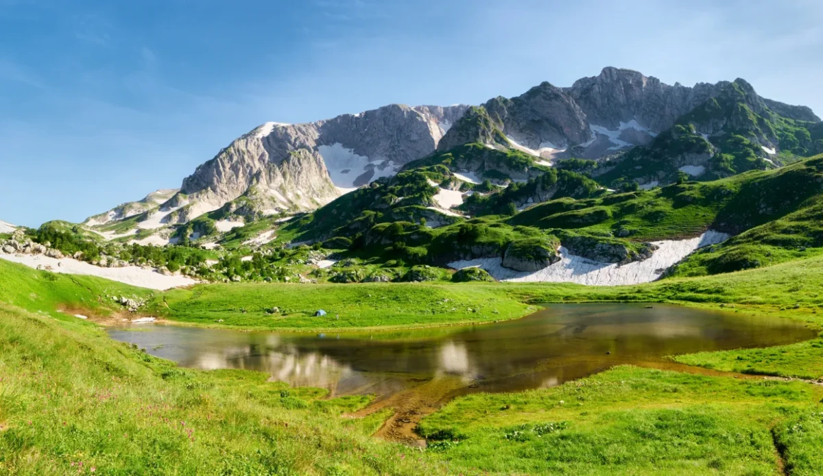 Изображение к статье: Просмотр роликов с природой может давать тот же эффект, что и реальные прогулки