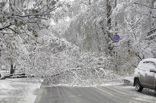 Феномен полярного вихря. Названа причина разыгравшейся стихии в Латвии