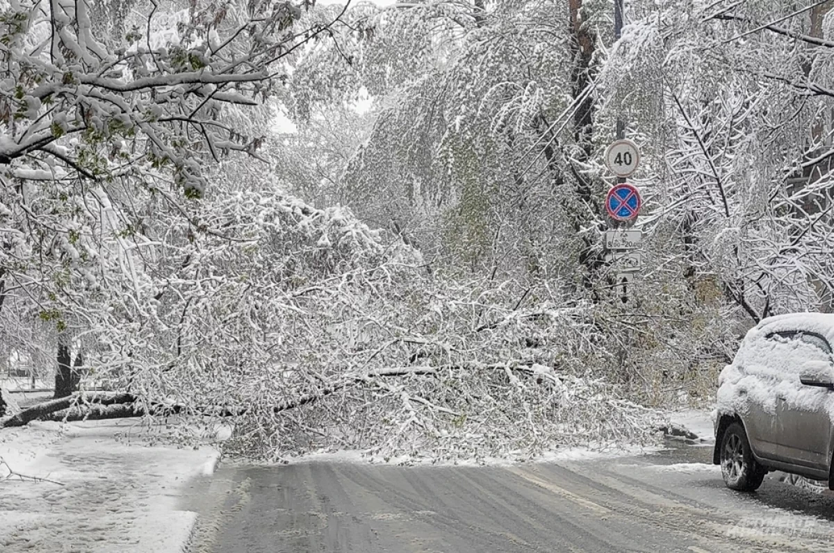 Изображение к статье: Феномен полярного вихря. Названа причина разыгравшейся стихии в Латвии
