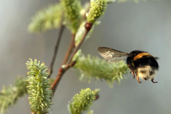 Изображение к статье: Сколько осталось дней продержаться до +20? Уточненный прогноз синоптиков