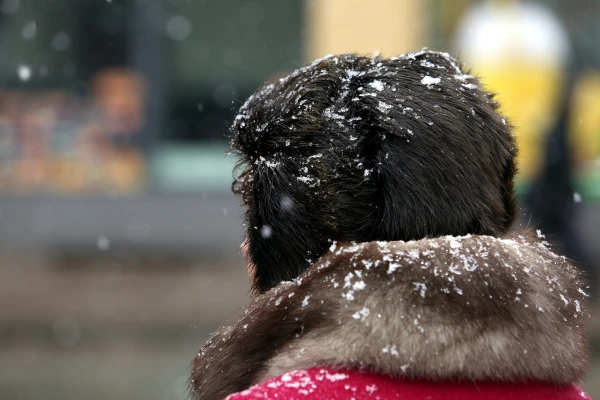 Изображение к статье: А что на майские - тоже снег? Латвийские синоптики отвечают...