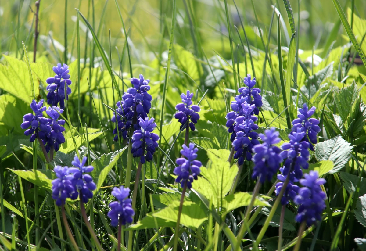 Изображение к статье: Температура воздуха в среду останется ниже +10 градусов