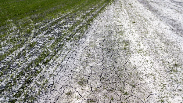 Период с сентября по март в Латвии — второй самый сухой за всю историю наблюдений