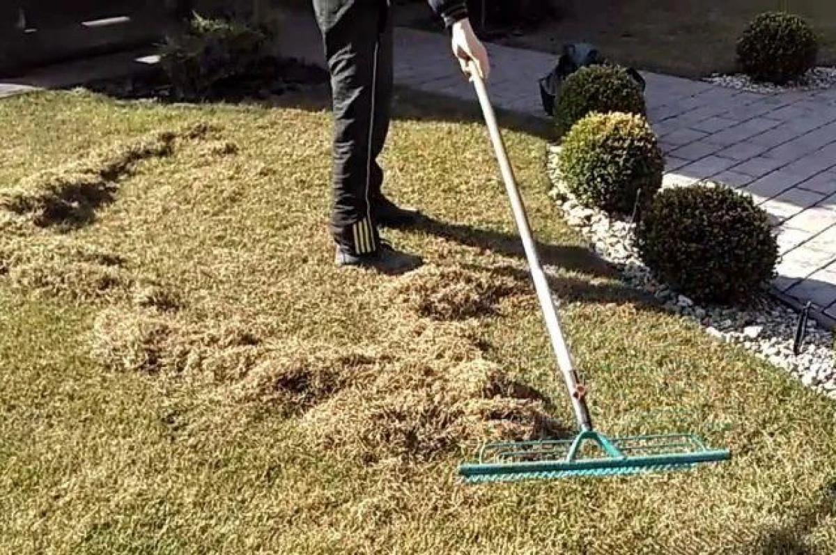 Изображение к статье: И выдали 128 килограммов семян - дума одобрила 23 заявки на благоустройство в микрорайонах