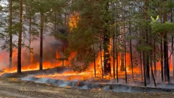 Изображение к статье: Глобальное потепление не отменяется?