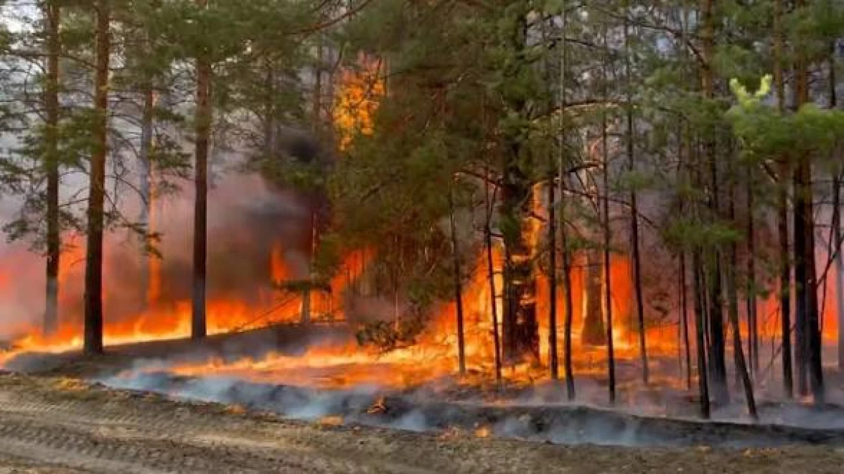 Изображение к статье: Глобальное потепление не отменяется?
