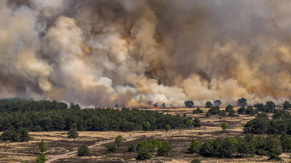 Изображение к статье: Крупный пожар на военном полигоне в Нидерландах: перекрыты трассы, но поезда и самолёты продолжают движение