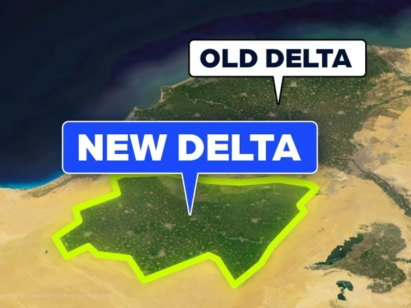 Изображение к статье: New Delta создаст более 2 млн рабочих мест.