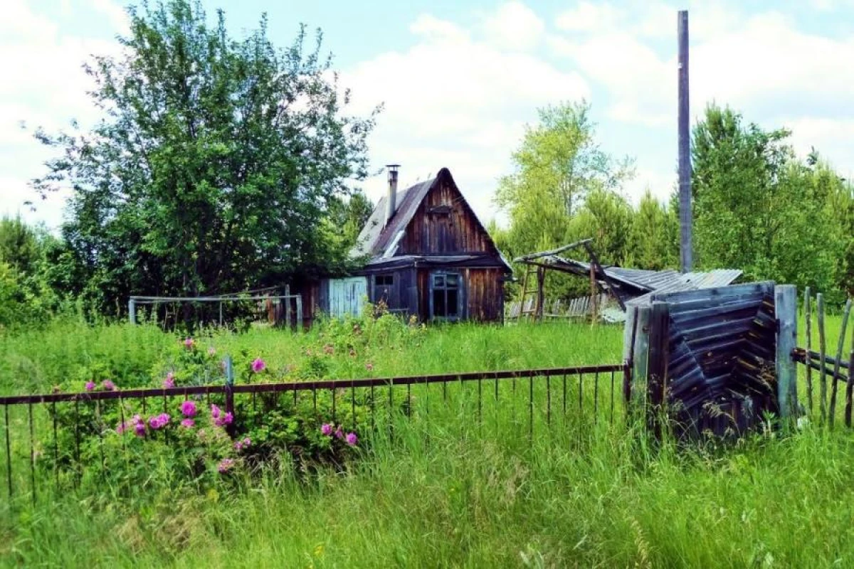 Изображение к статье: 5 распространенных ошибок на огороде, которые приводят к отсутствию урожая