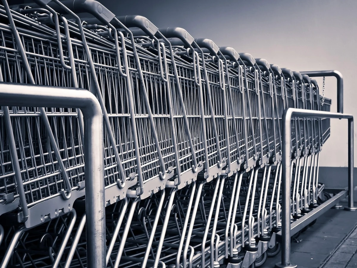 Изображение к статье: Тележки для продуктов