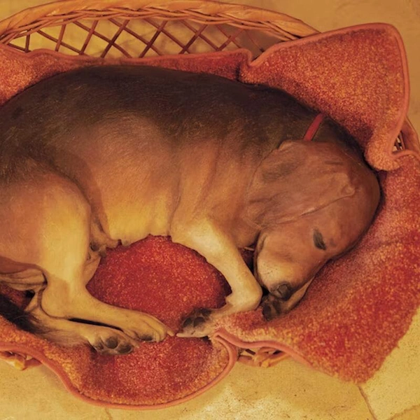 Кухня Натальи Водяновой