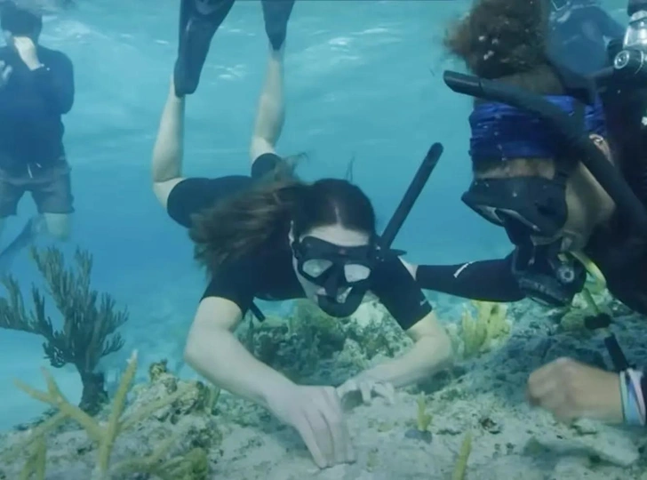 Кейт Миддлтон