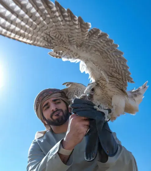 Шейх Хамдан бен Мухаммед Аль Мактум