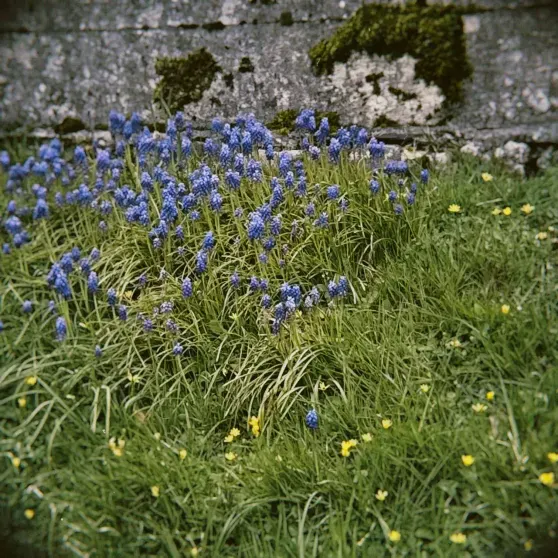 Фото Паулины Андреевой