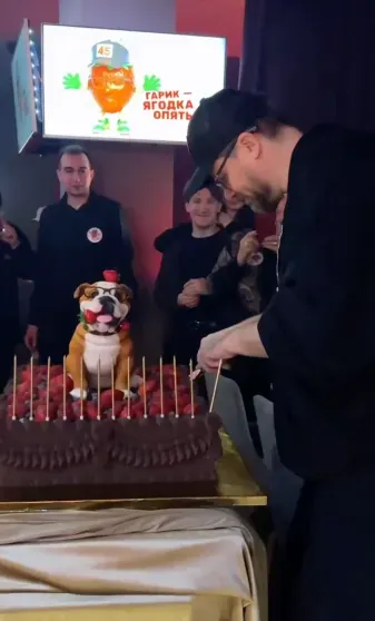 Гарик Харламов