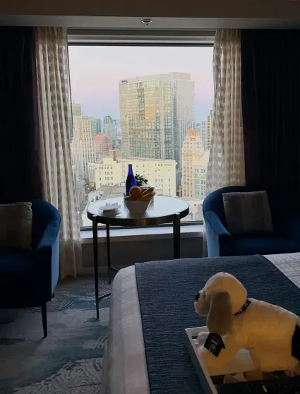 Вид на город