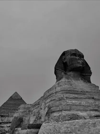 Photo of Dmitry Shepelev