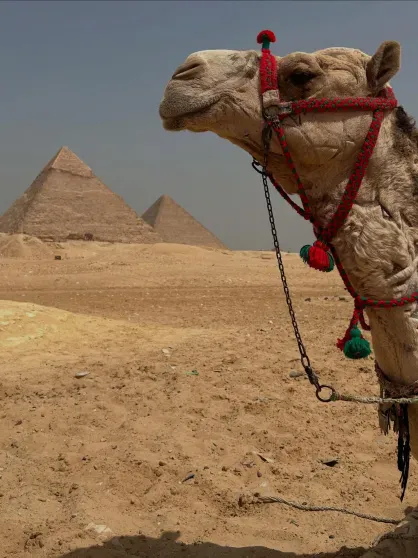 Photo of Dmitry Shepelev