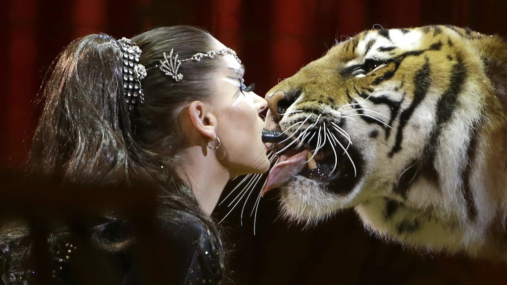 tigr.jpg